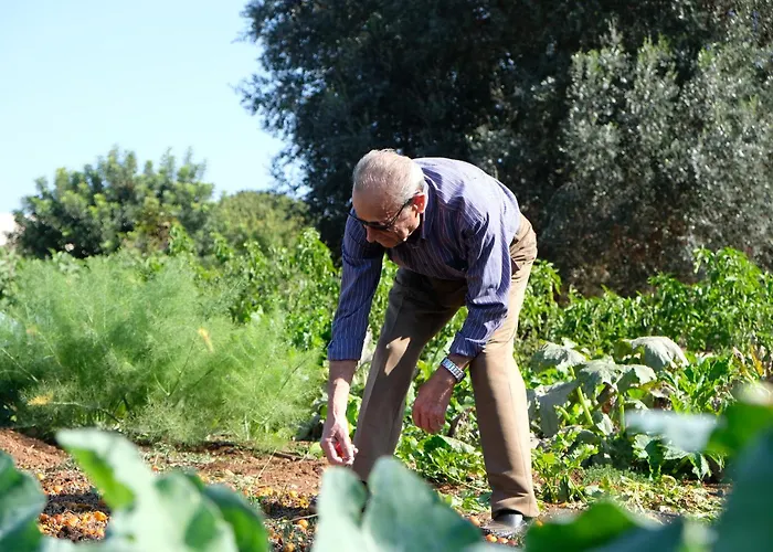 Masseria GriecoAlbergo
